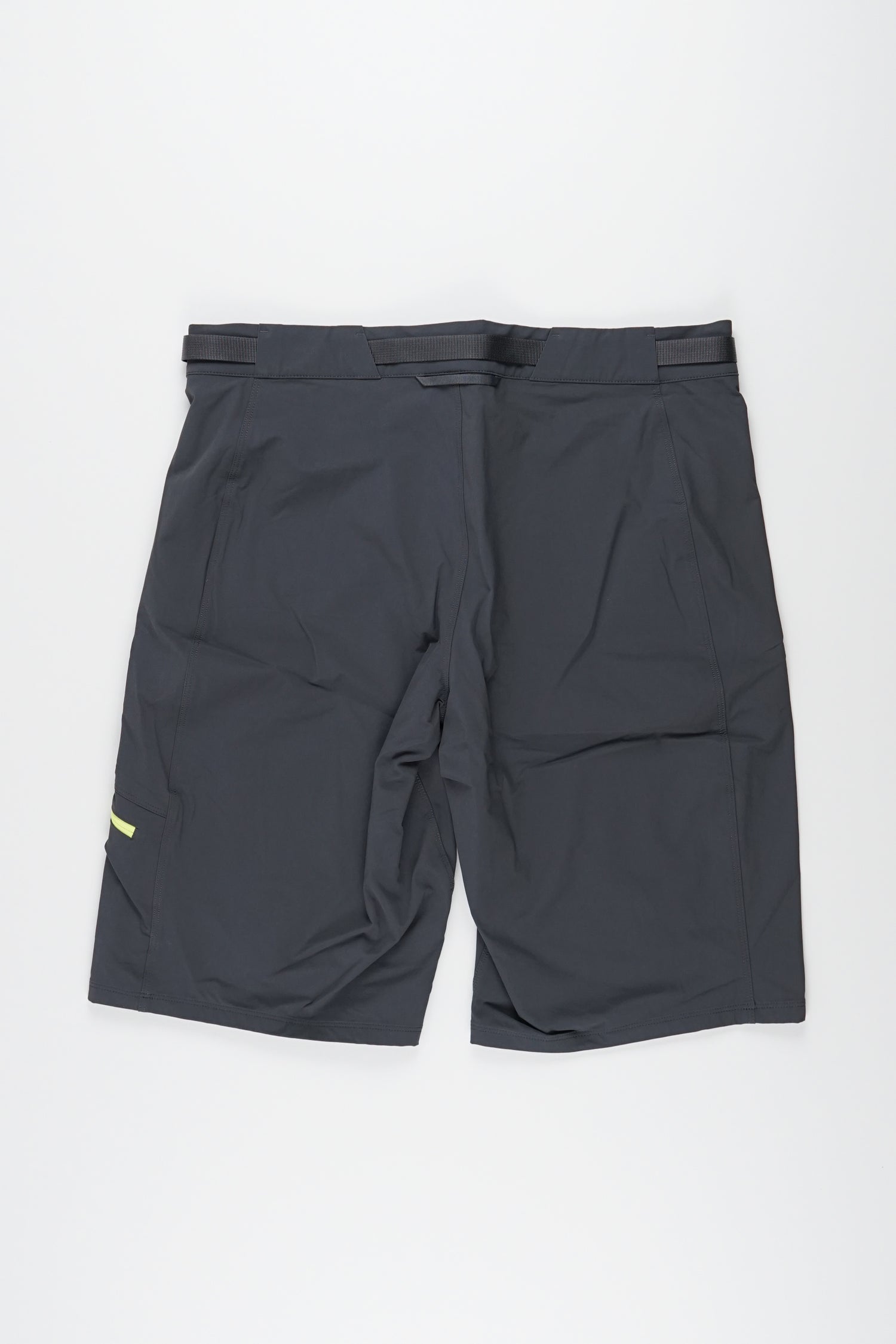 Lizard shorts Men Grey / L